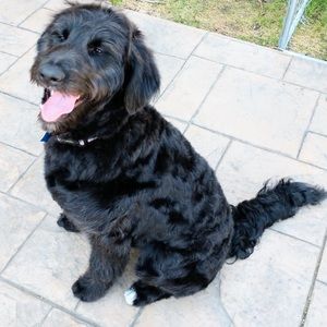 Meet your Posher, Anya